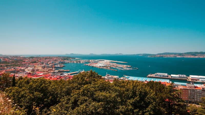 Cotton Blind Test Viva Galicia