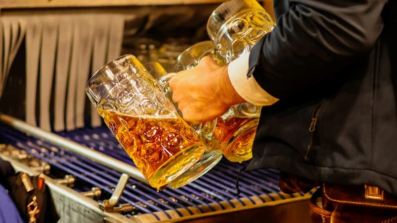 Bingo Musical Drinking songs