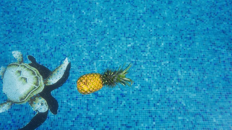 Cotton Blind Test Tropicool