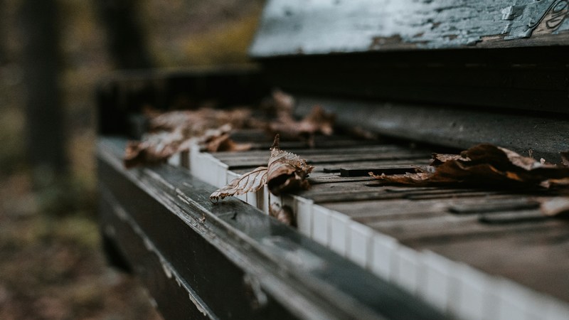 Cotton Quiz - L'Automaltique  - MER. 02 NOVEMBRE 2022