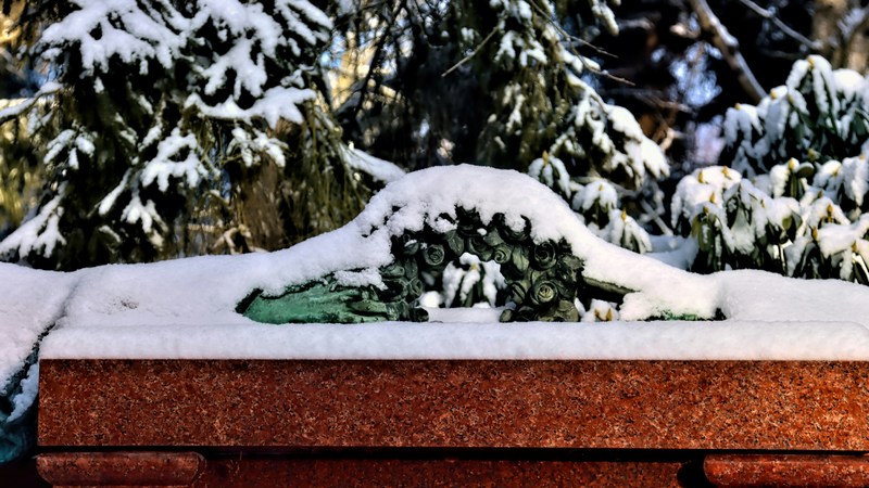 Cotton Quiz - V and B Montbrison - VEN. 29 DÉCEMBRE 2023