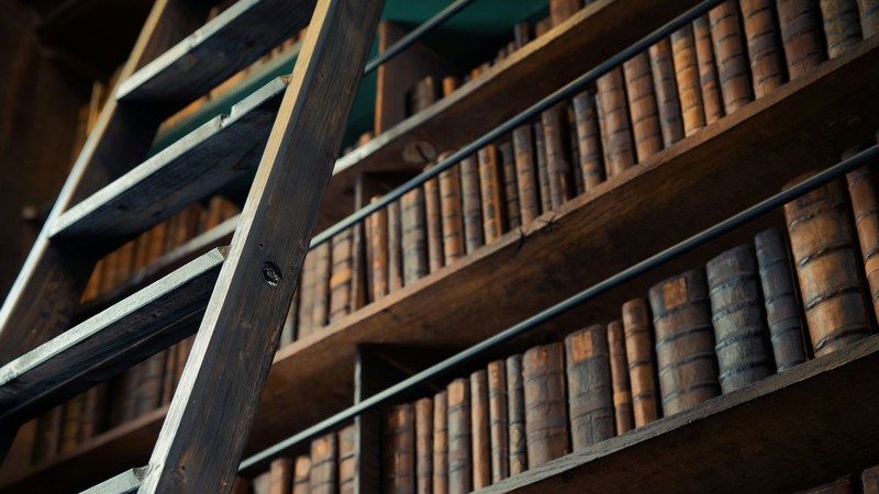 Cotton Quiz - La Fossette - VEN. 13 SEPTEMBRE 2024