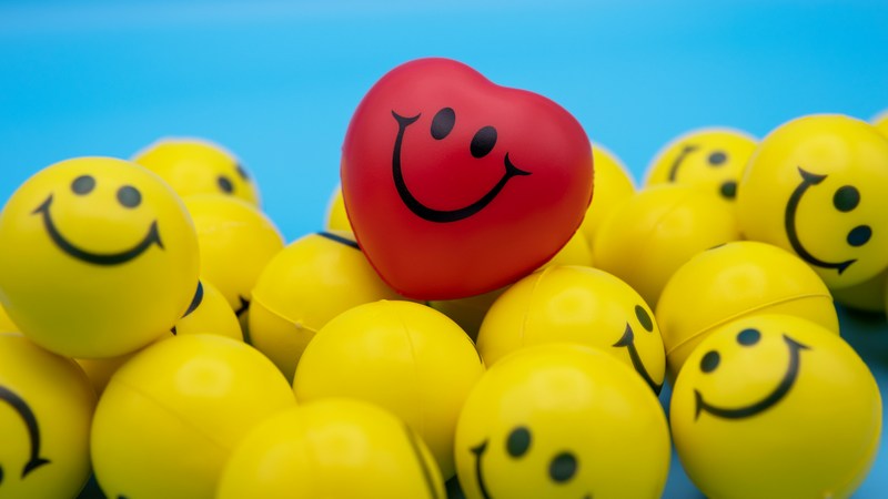 Cotton Quiz - L'Etnick  - JEU. 11 JANVIER 2024