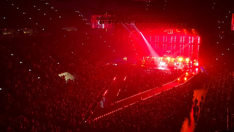 Cotton Quiz - Le Local - MAR. 31 OCTOBRE 2023