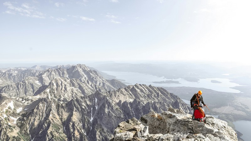 Cotton Quiz Ascension au cinéma