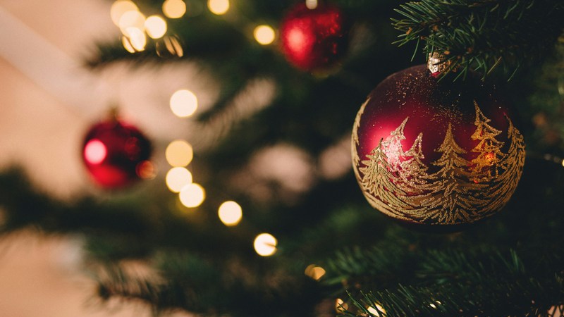 Cotton Quiz - IT Italian Trattoria - MER. 25 DÉCEMBRE 2024