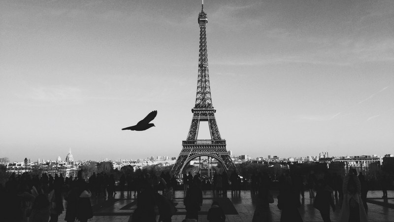 Cotton Quiz - La Fossette - VEN. 12 JUILLET 2024