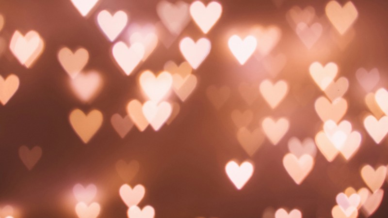 Cotton Quiz - Five Eleven - MAR. 11 FÉVRIER 2025