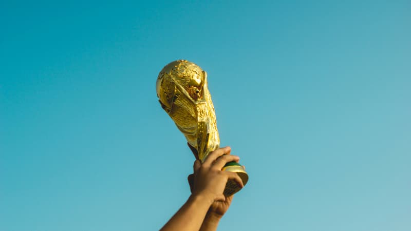 Cotton Quiz Coupe du monde #3