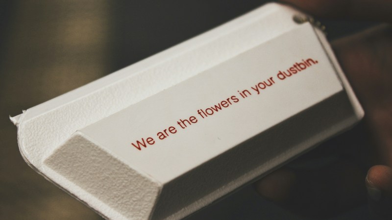 Cotton Quiz Slogans
