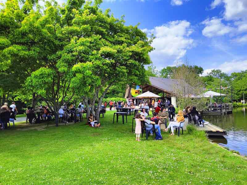 Bingo Musical - Au Parc des Bois - MER. 27 AOÛT 2025